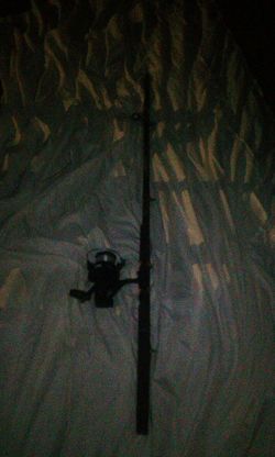 8 foot master graphite C rod and reel