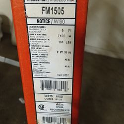 5' Louisville Ladder