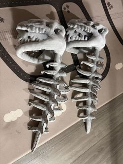 Dinosaur Skeleton Custome