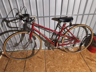 WINNER 10 SPEED ROAD BIKE