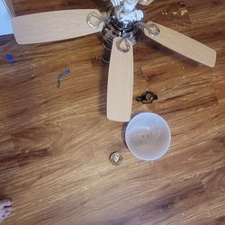 Ceiling Fan With Light