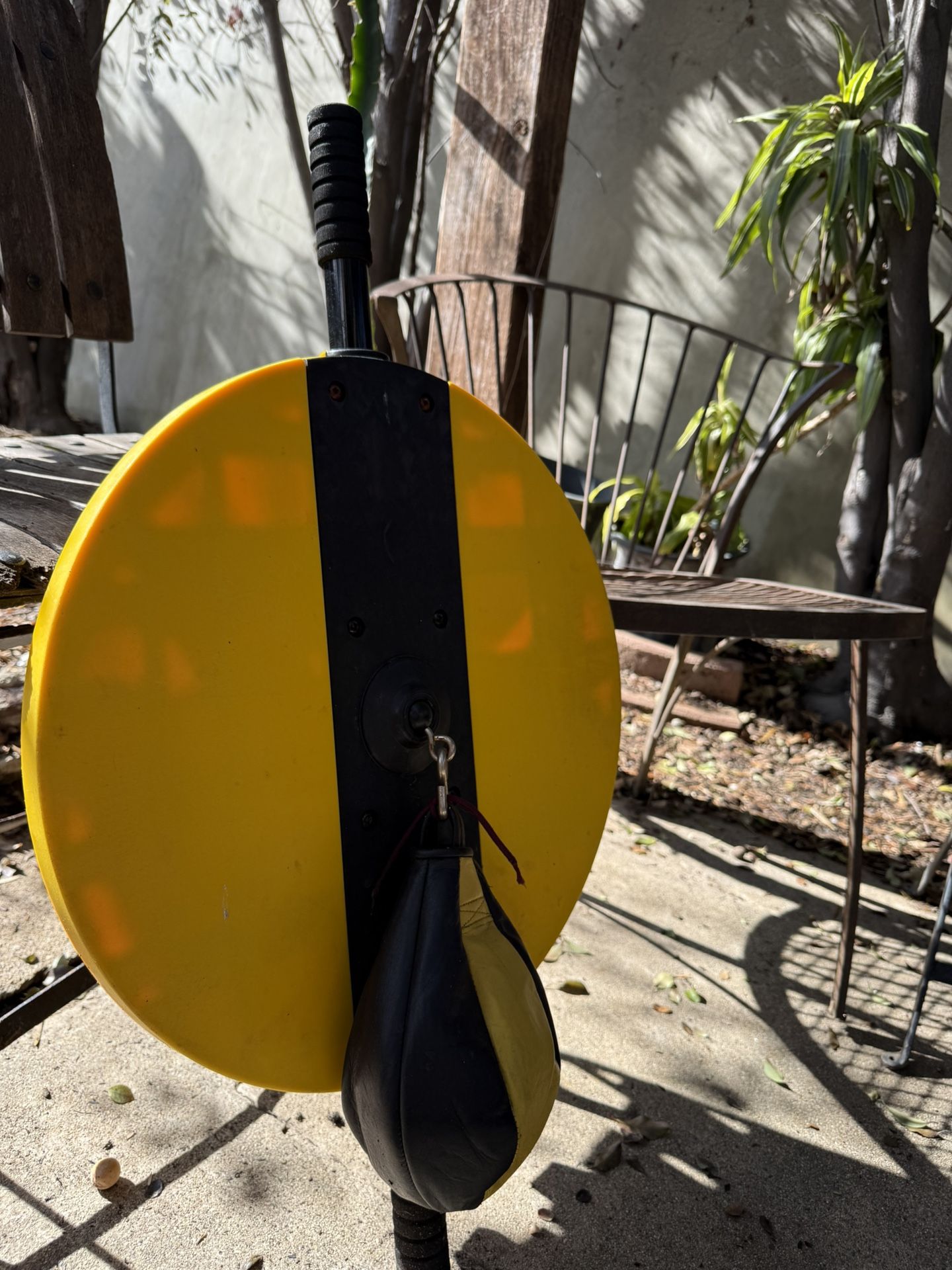 Speed Bag Boxing