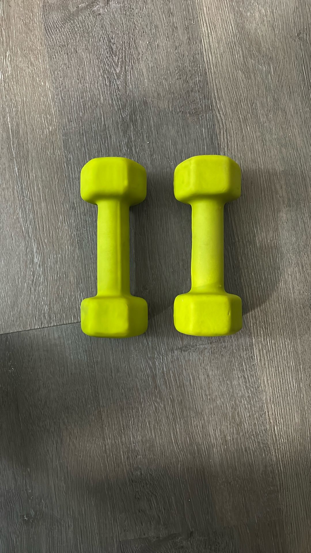 5 lb Dumbbells (2x)