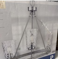 NEW Progress Lighting P500262-009 Brushed NIckel 3-Light Driftwood new