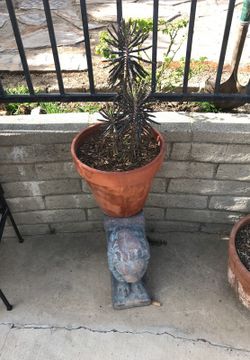 Pot Stand With clay pot and plant