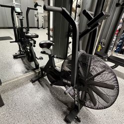 Rogue Assault Bike 