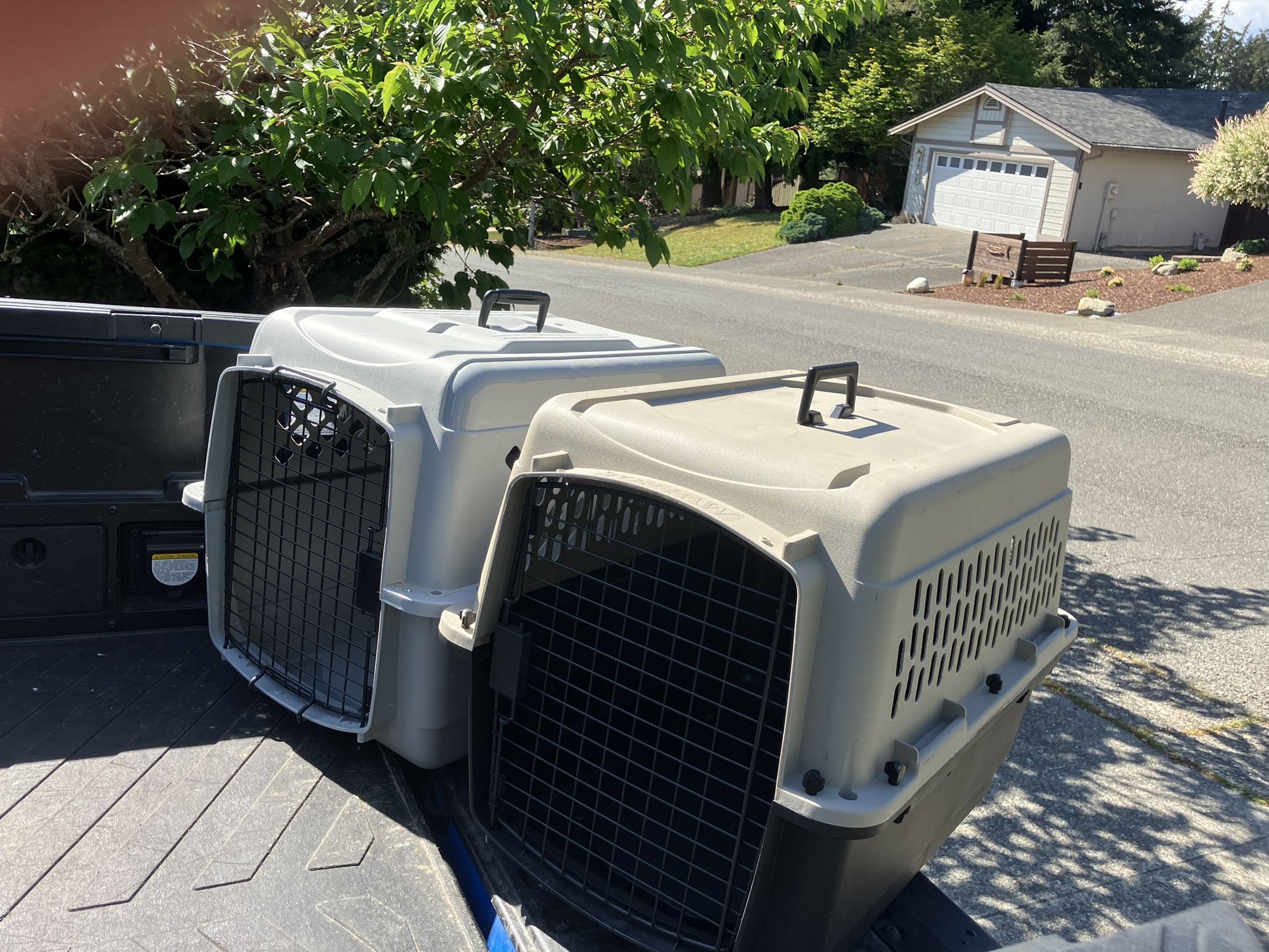 Medium Dog Kennel Crate Carrier Airline Approved like New 28” L by 20” W by 20” $35 Each