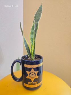 LA County Sheriff's Station Ceramic Coffee Mug