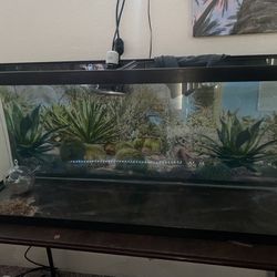 Lizard / Fish Tank