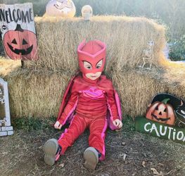 3 Piece PJ Mask Costume (3T-4T)