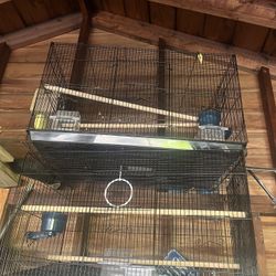 Bird Cages