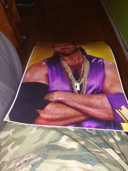 Razor Ramon Poster
