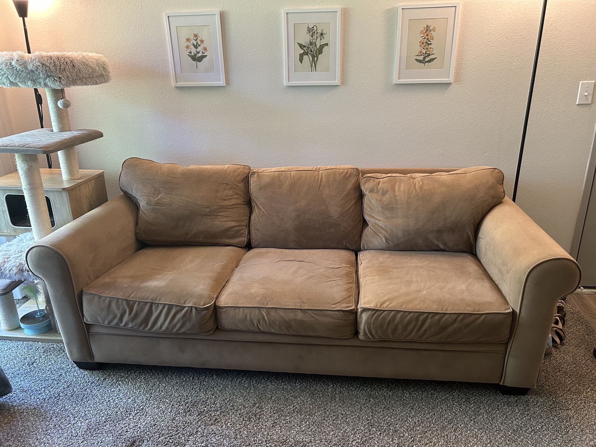 Couch