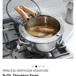 Princess House Fryer Freidora