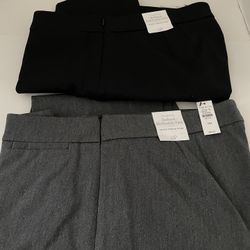 Brand New w/tags Women’s Talbot Pants Size 14P