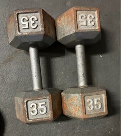 35lbs dumbbells (2)