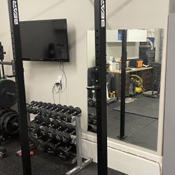 BEAR 8ft. Wall Mounted Rig Power Rack Squat Cage Pull Up Crossfit Steel 96in