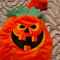 Pumpkin pet costume