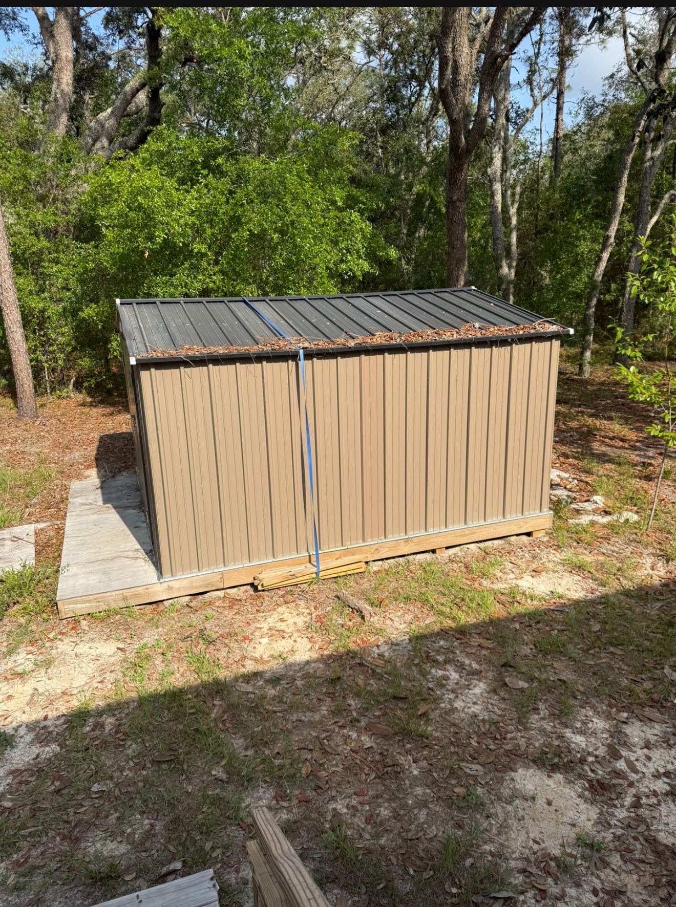 Shed