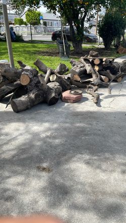 Seasoned Avocado Wood