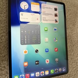 iPad Pro 3rd Gen 12.9 256gb 
