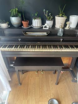 Free Piano