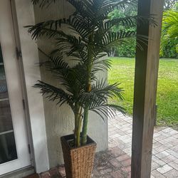 Realistic Artificial Palm Tree