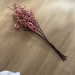 Cherry Blossom