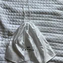 Coach Bag For 10 Dlrs 