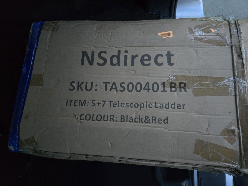 Telescopic Ladder