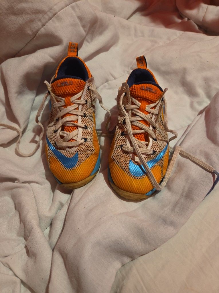 LeBron James Shoes