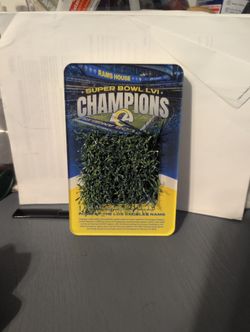 Super Bowl Winning Turf