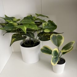 2 Fake Plants Bundle 
