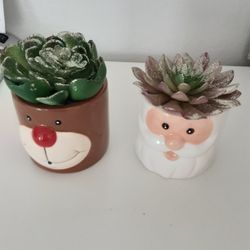 2 Mini Ceramic Succulent 