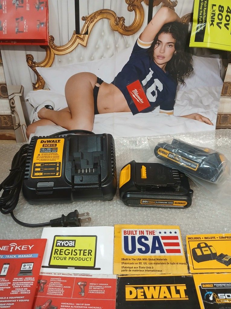 NEW DEWALT 20V STARTER KIT 2 BATTERIES AND FAST CHARGER