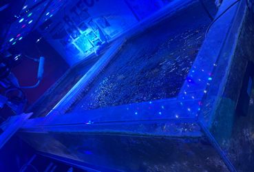 Acrylic corals farm tank aquarium