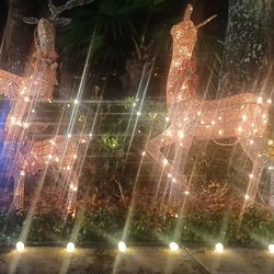 Rudolph The Red Nose Reindeer