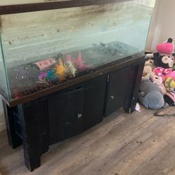 Free Fish tank