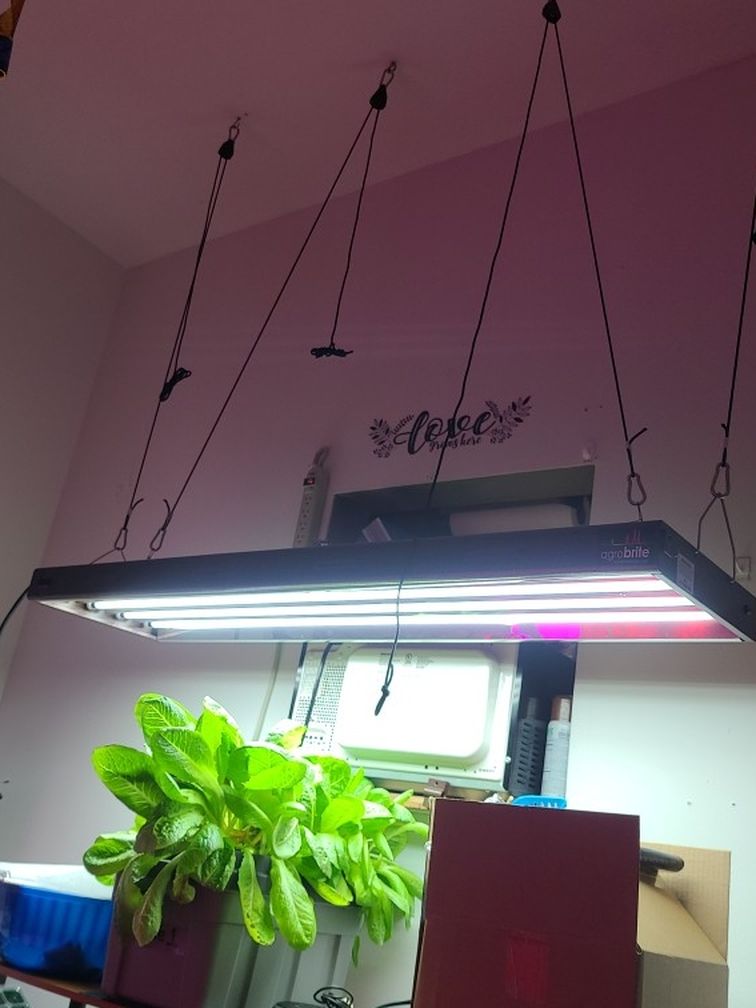 Agrobrite FLUORECENT GROW LIGHT