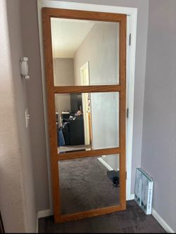 Door length mirror