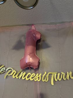 First birthday princess decorations