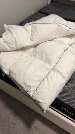Pacific Coast Feather Duvet-Quinn-king