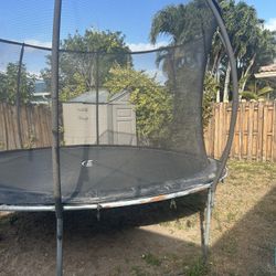 Free Trampoline