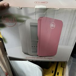 Skin Care Fridge