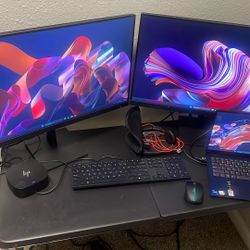 Dual Hp Monitor Set
