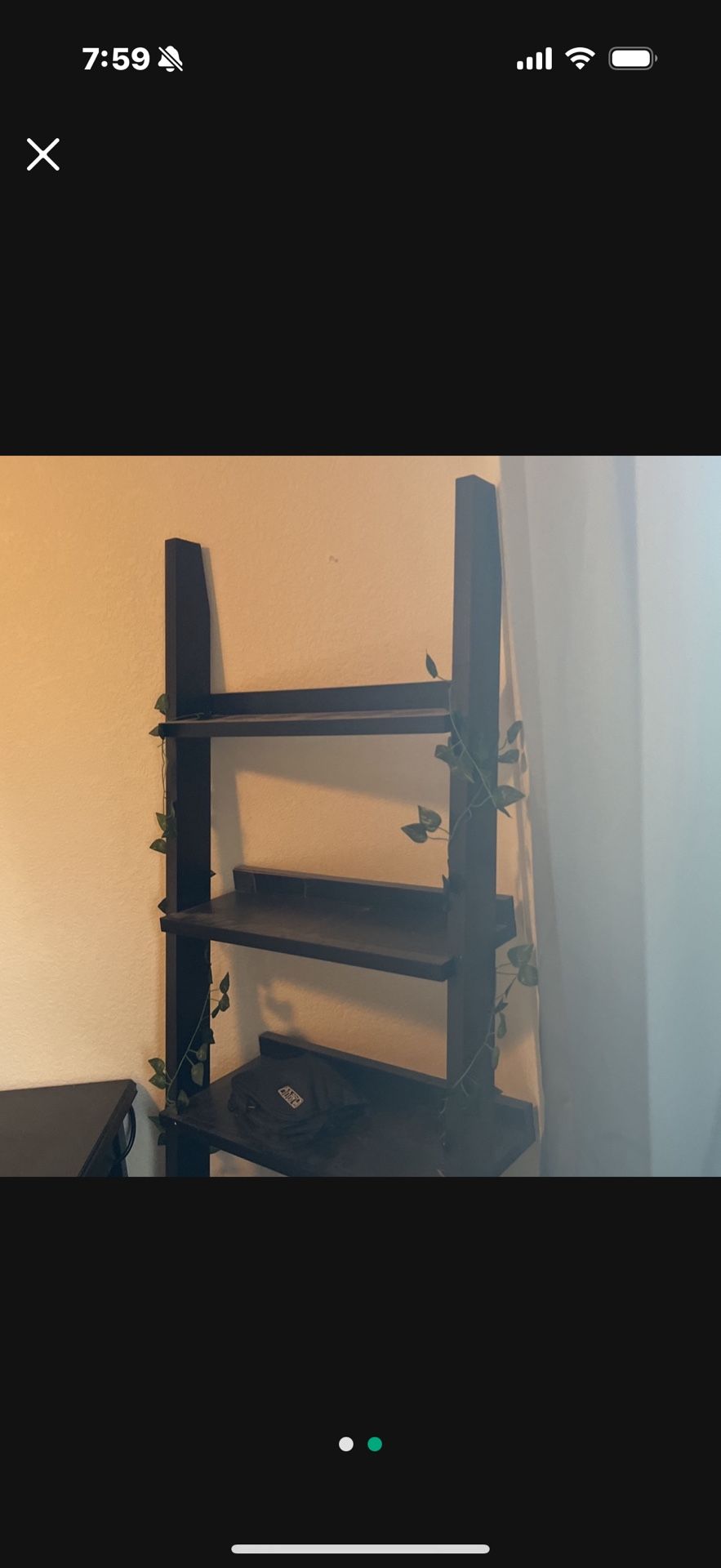 Ladder Shelf