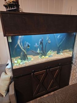 Custom 203 gallon Aquarium