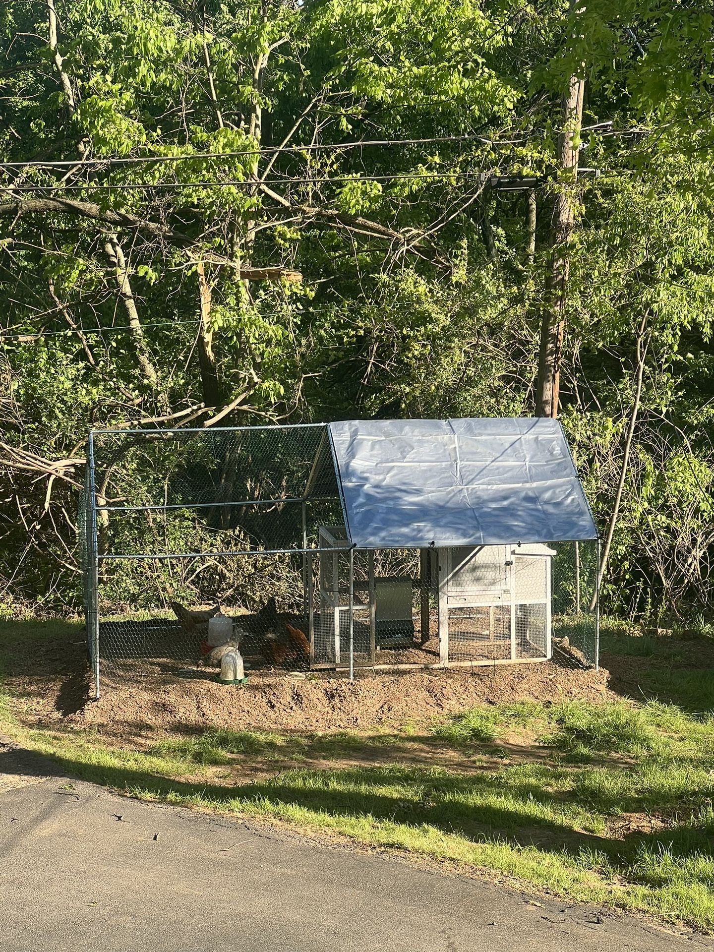 Used Metal Chicken Coop Frame