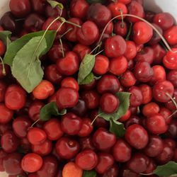 5 Gallon Bucket Of Cherries