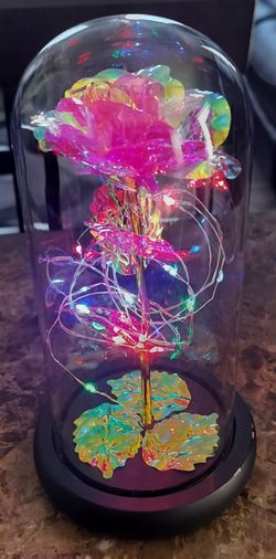 Modern Expressions Galaxy Rose / Enchanted Rose